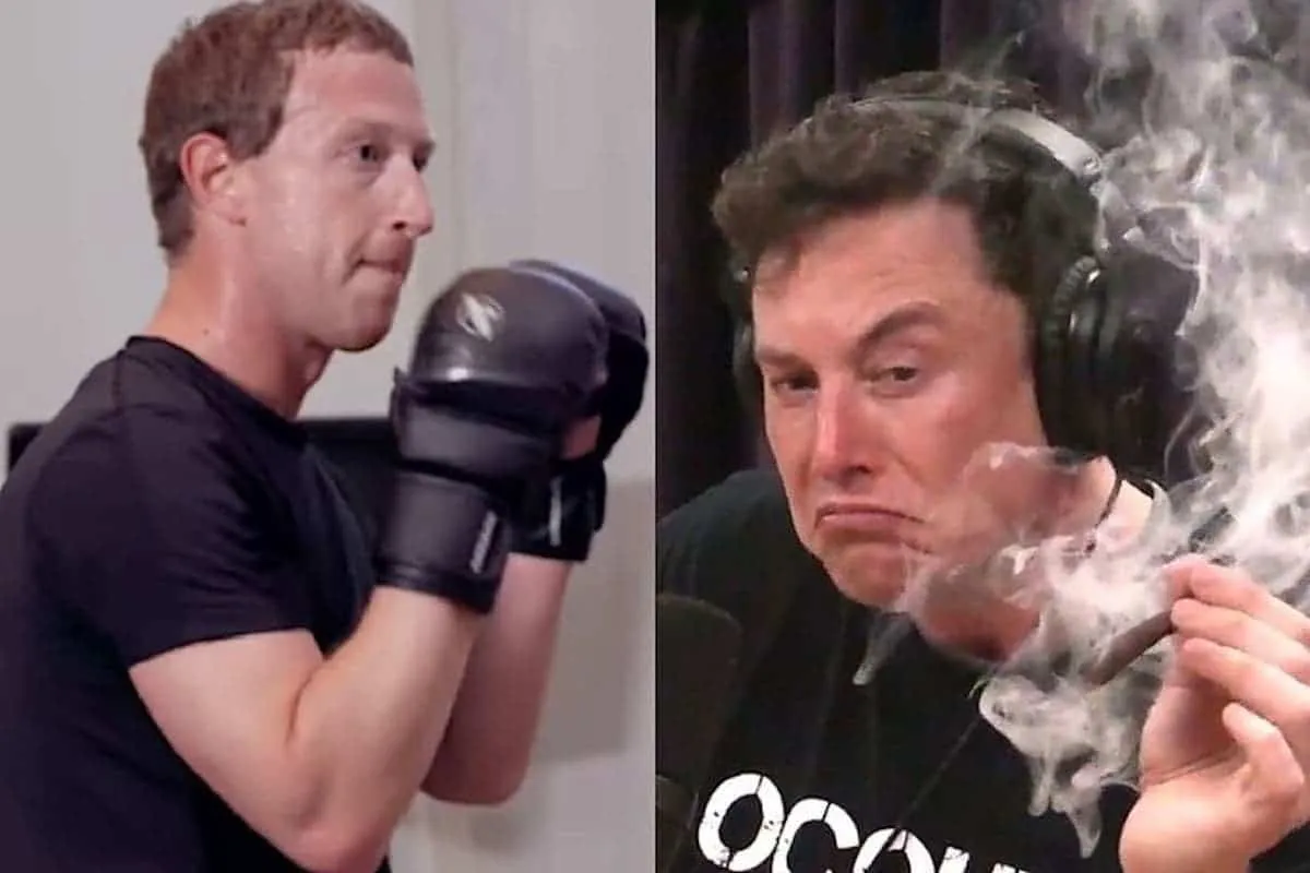musk vs zuckerberg