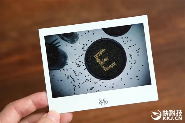 s e57a2a69d94d42759fdaa377f30a40db