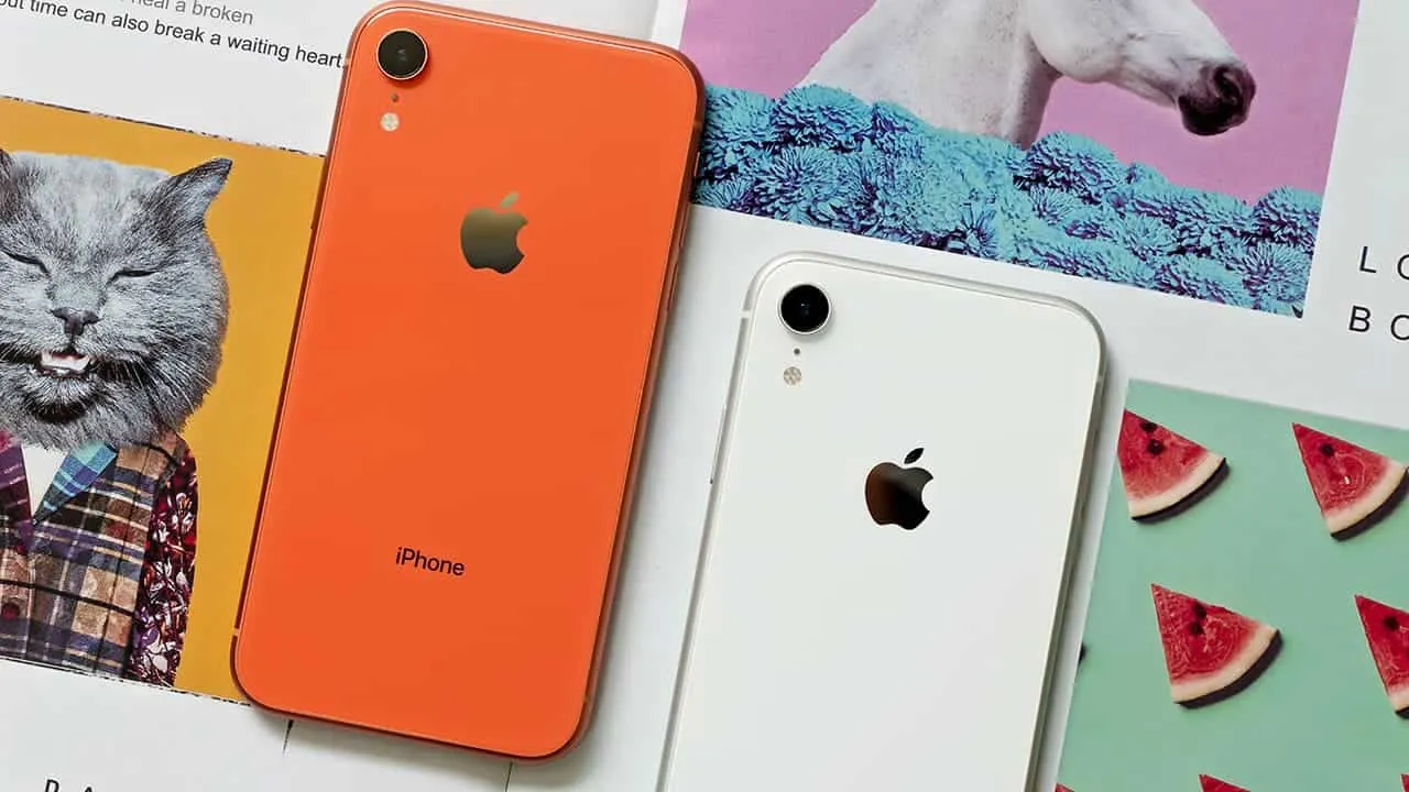 v a tao tjfegpprfig unsplash