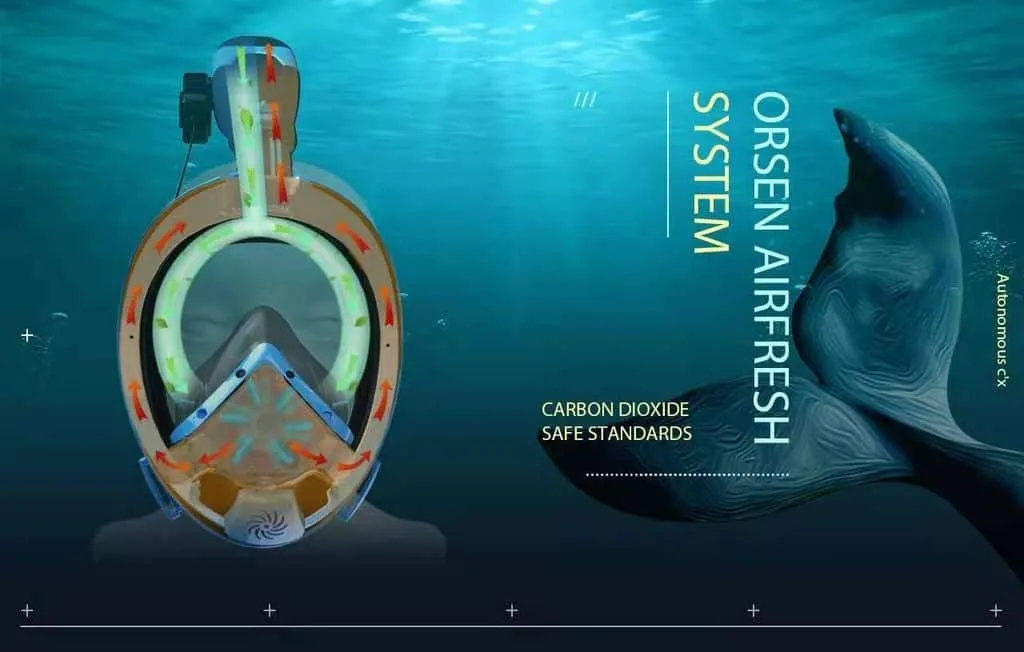 v212xydvpoabbeyr6laj