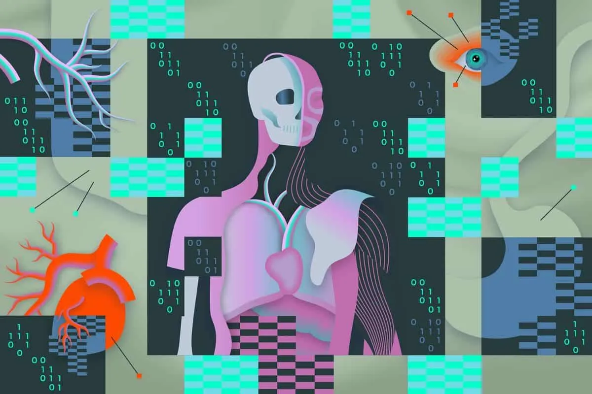 vrg illo 1777 ak body data00