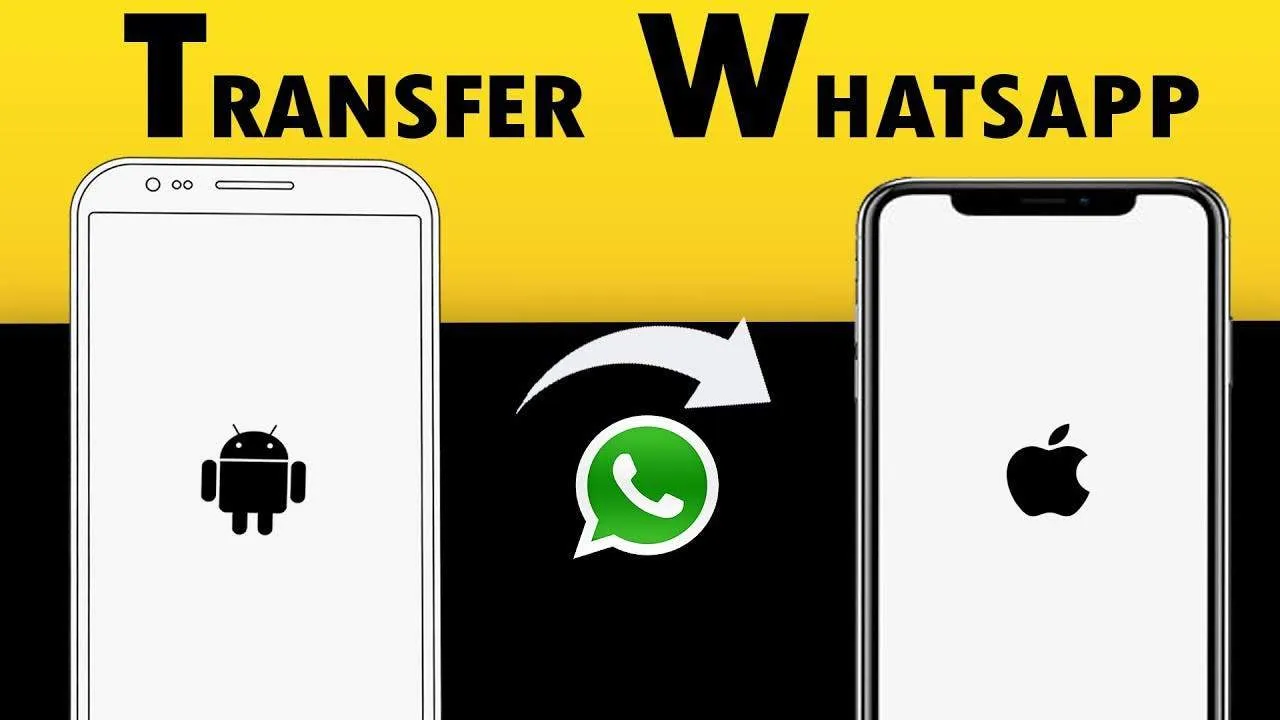 whatsapp transfer ftr