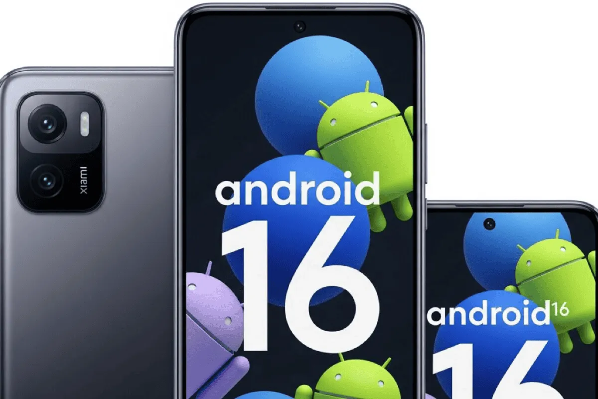 1200 800 1024x683 copy