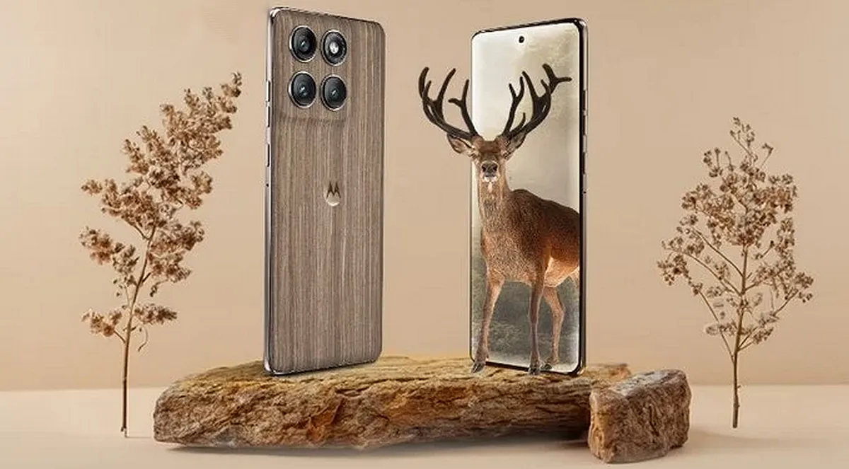 imagem_2025-08-23_161600879