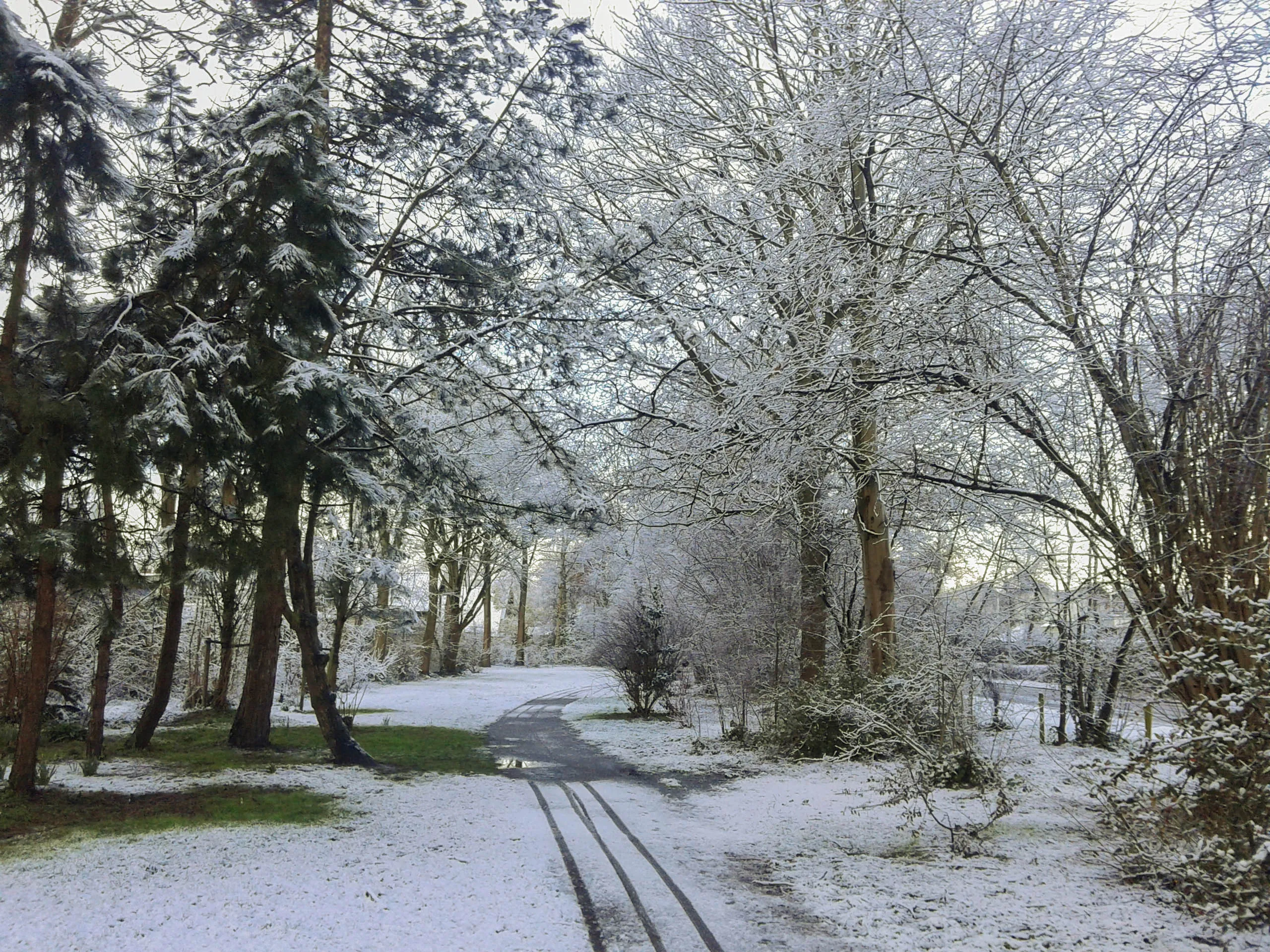 Kans op kouder winterweer en sneeuw neemt toe in januari
