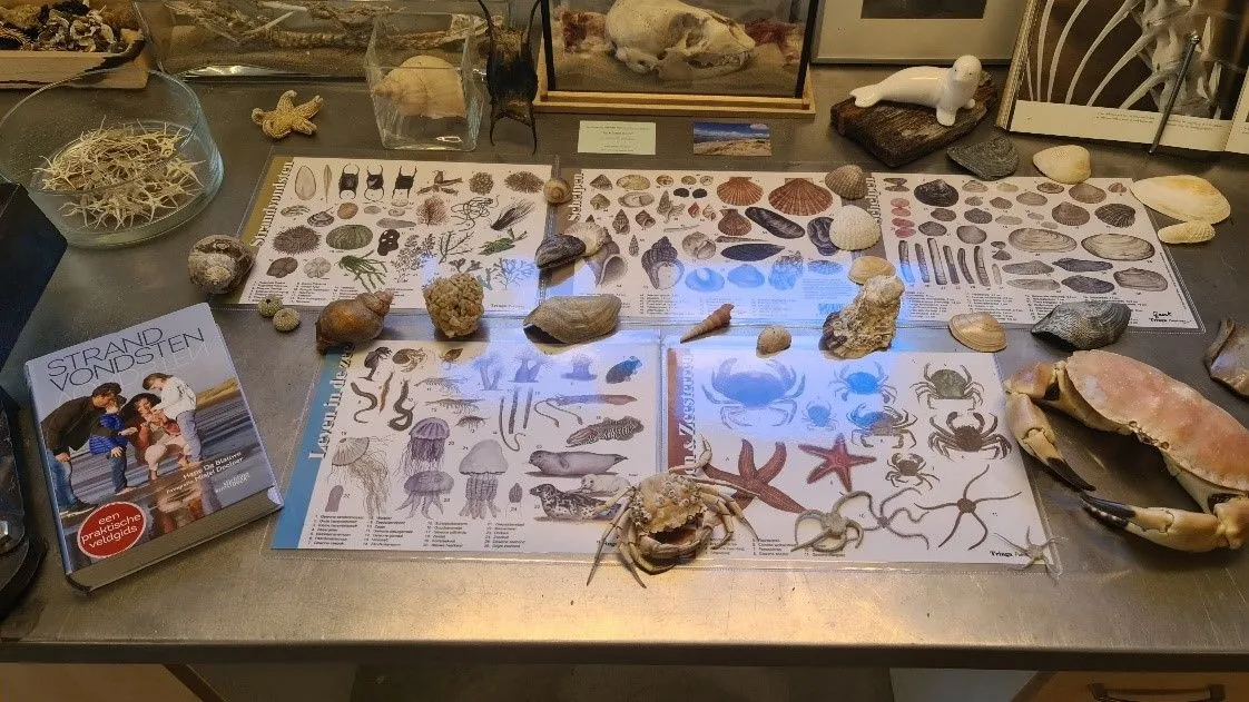 Strandvondsten van de Kwade Hoek gaan op tournee