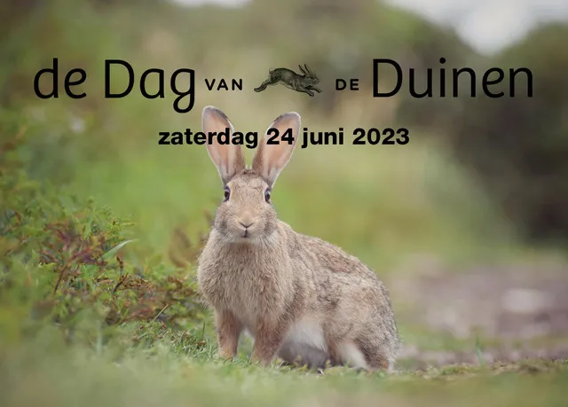 dag van de duinen 20233