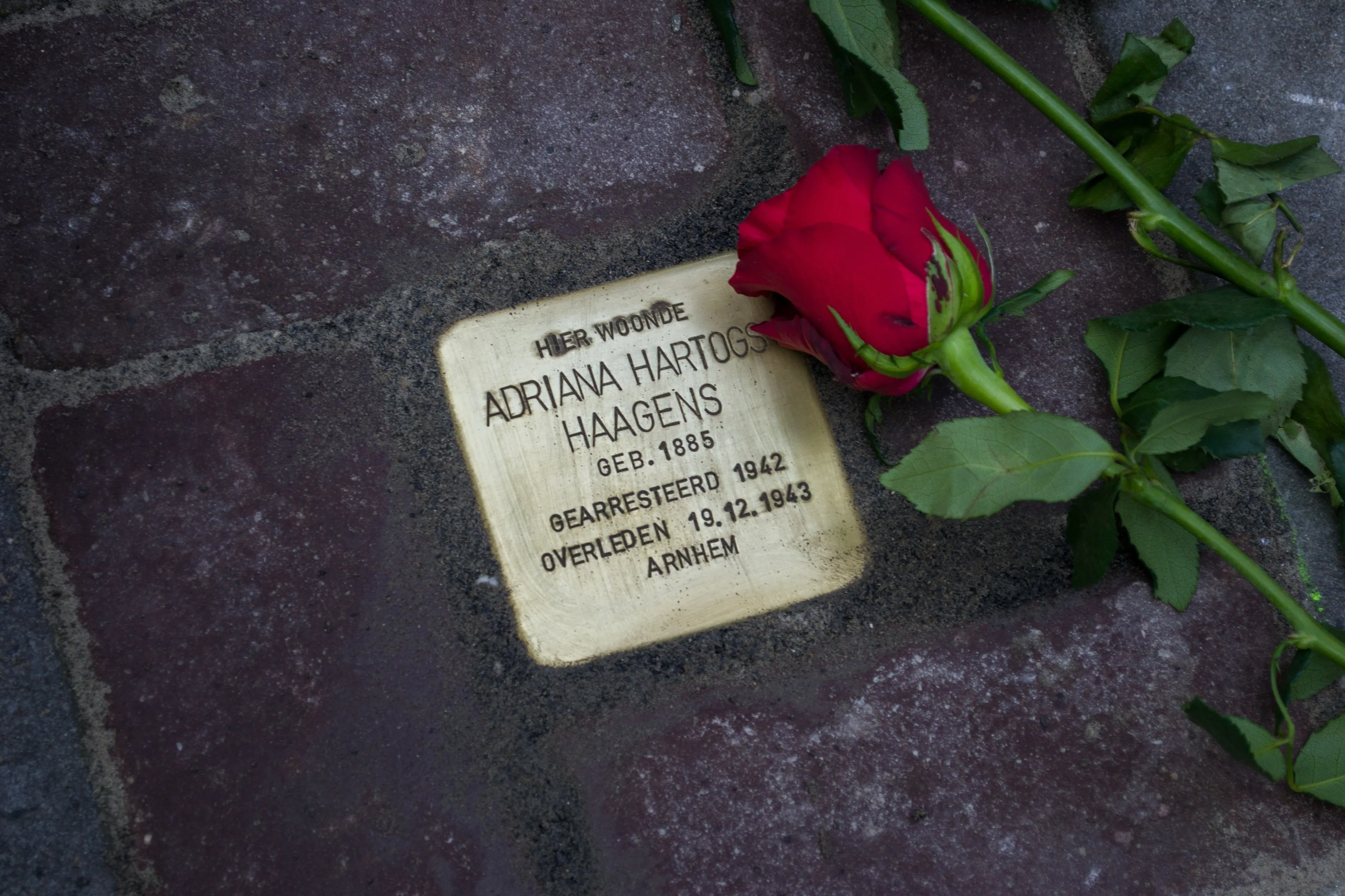 Onderzoek rol gemeenten bij onteigening Joodse bezittingen afgerond