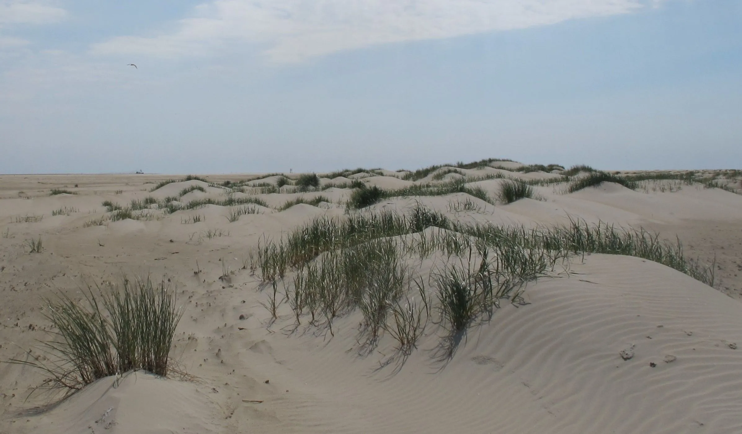 Neem deze zomer een Duik in de Duinen