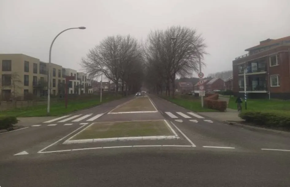 Verkeershinder in Ouddorp door snoeien