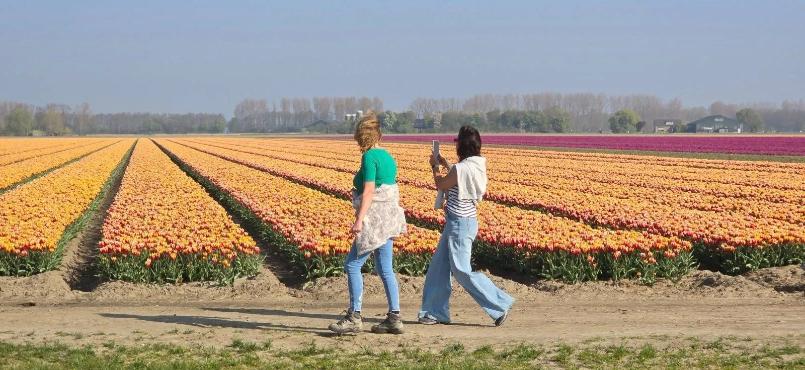 GO Tulpentocht heeft records gebroken