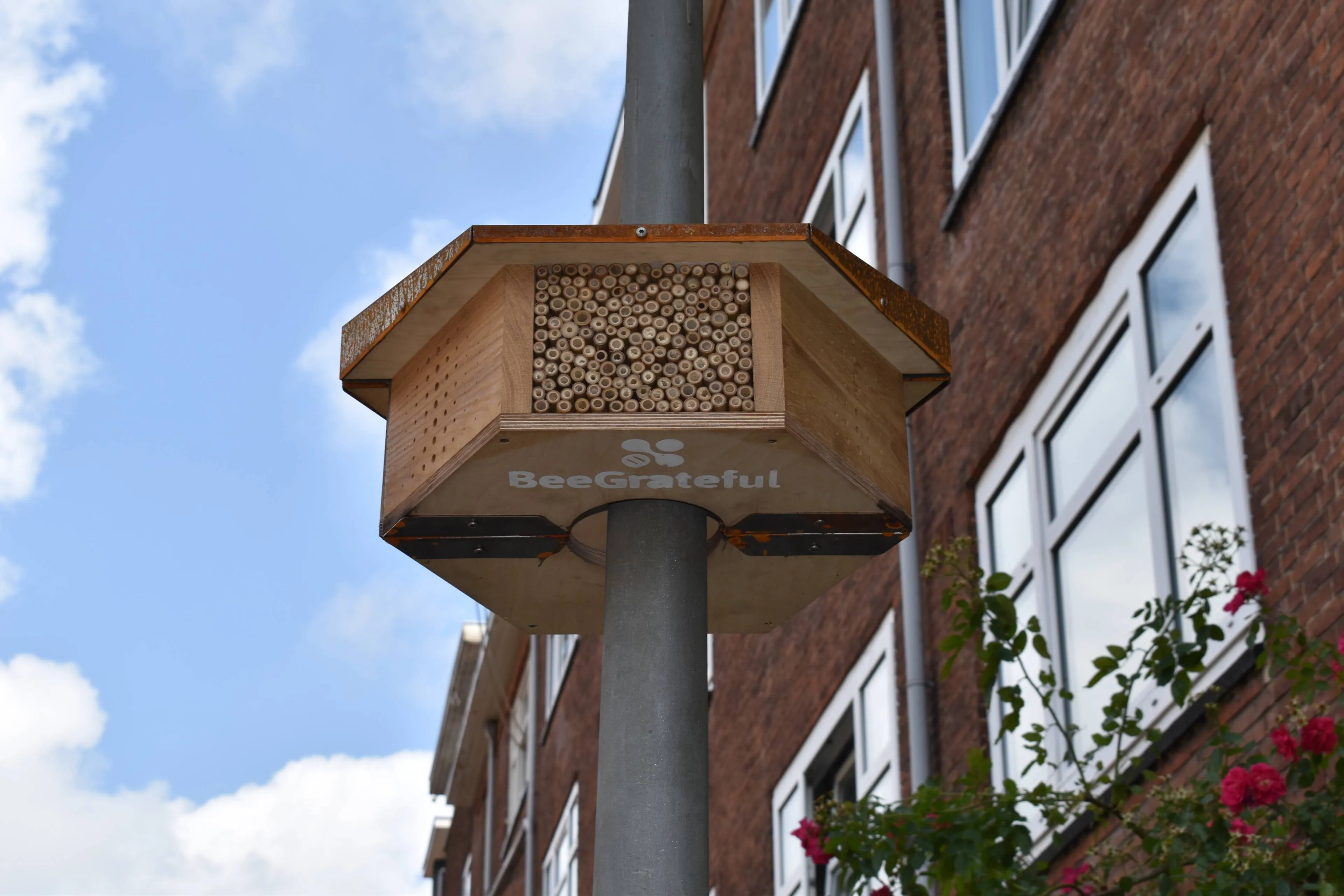 Bijenhotels aan lantaarnpalen op Goeree-Overflakkee