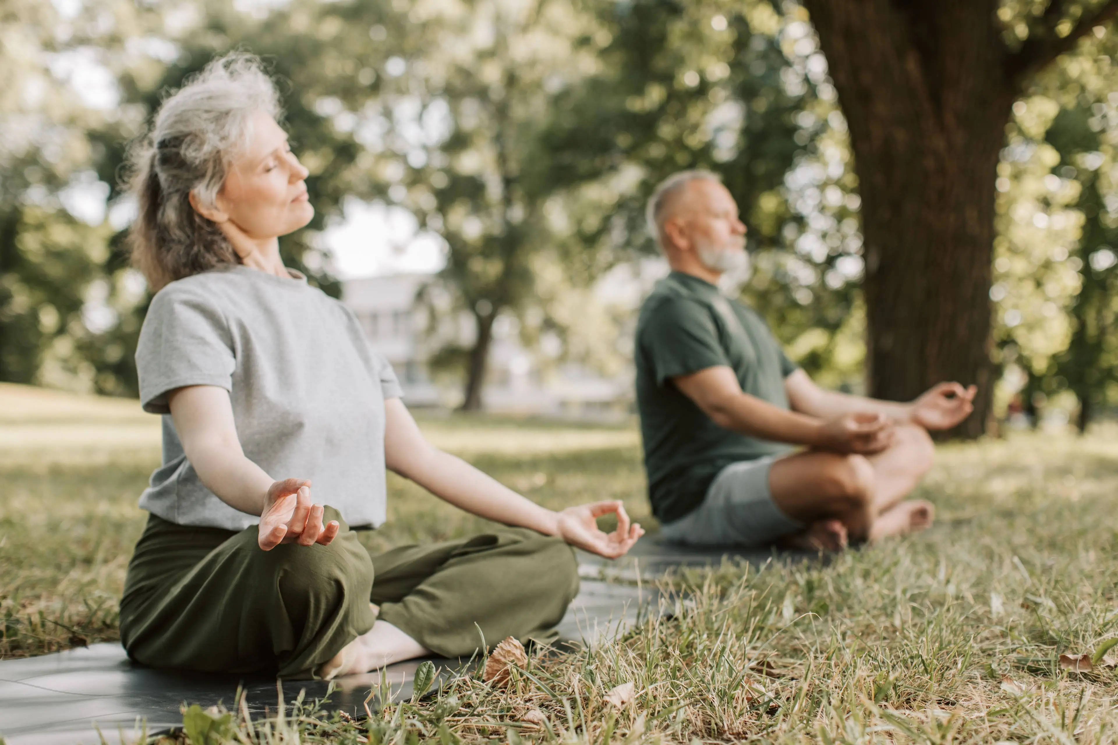 Zenmeditatiewandeling door de Kwade Hoek