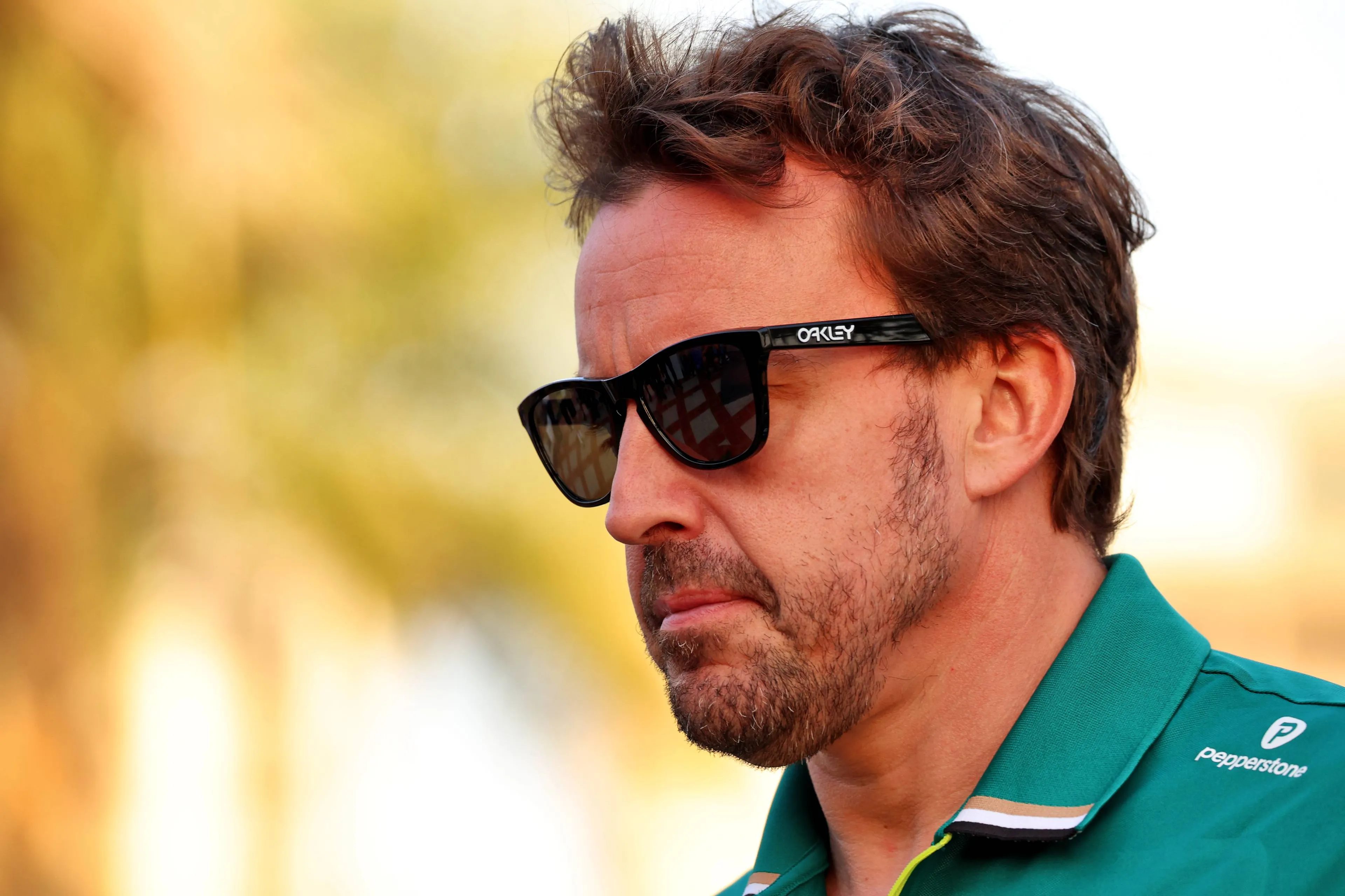 Alonso gaat in het bijzijn van Verstappen in op de functie van Newey bij Aston Martin