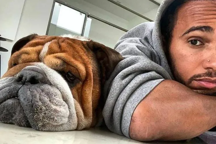 roscoe-en-lewis-hamilton