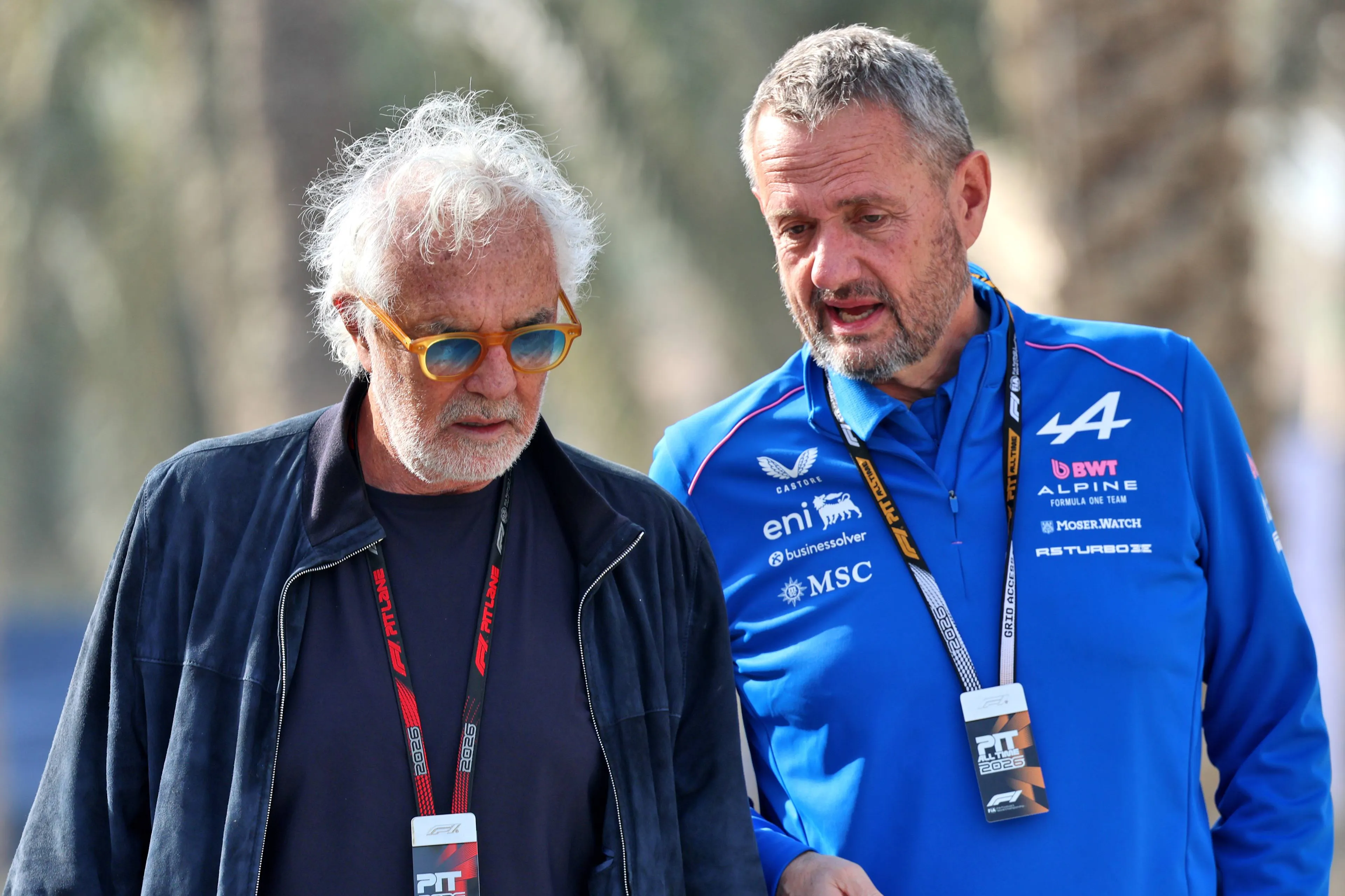 steve-nielsen-alpine.jpg.