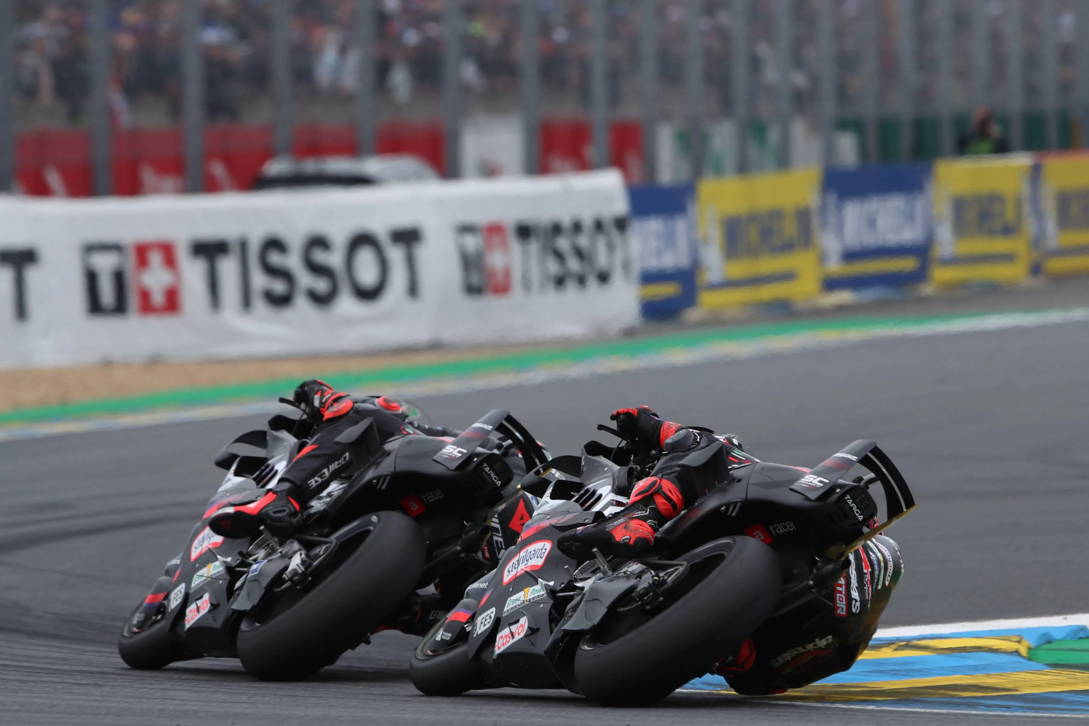Bezzecchi Martin Aprilia MotoGP