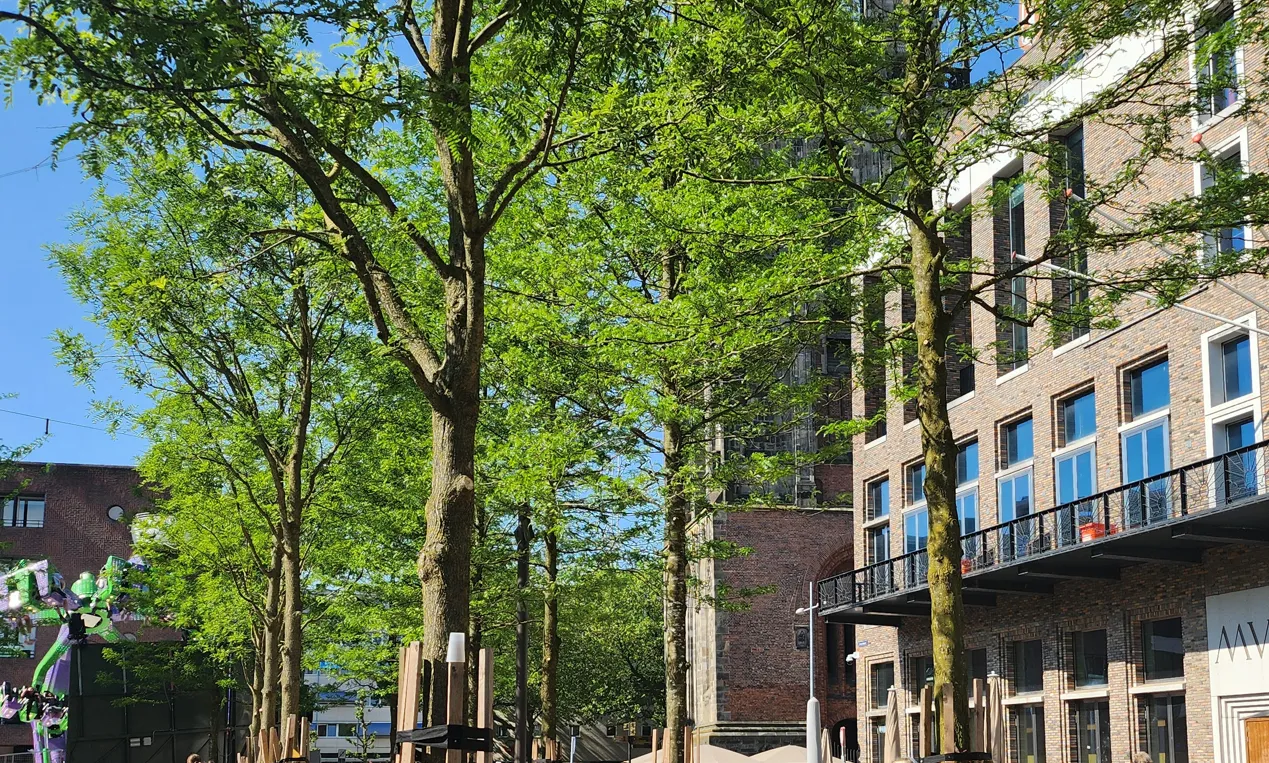 Zomers zonnig weer en tropische hitte komende week