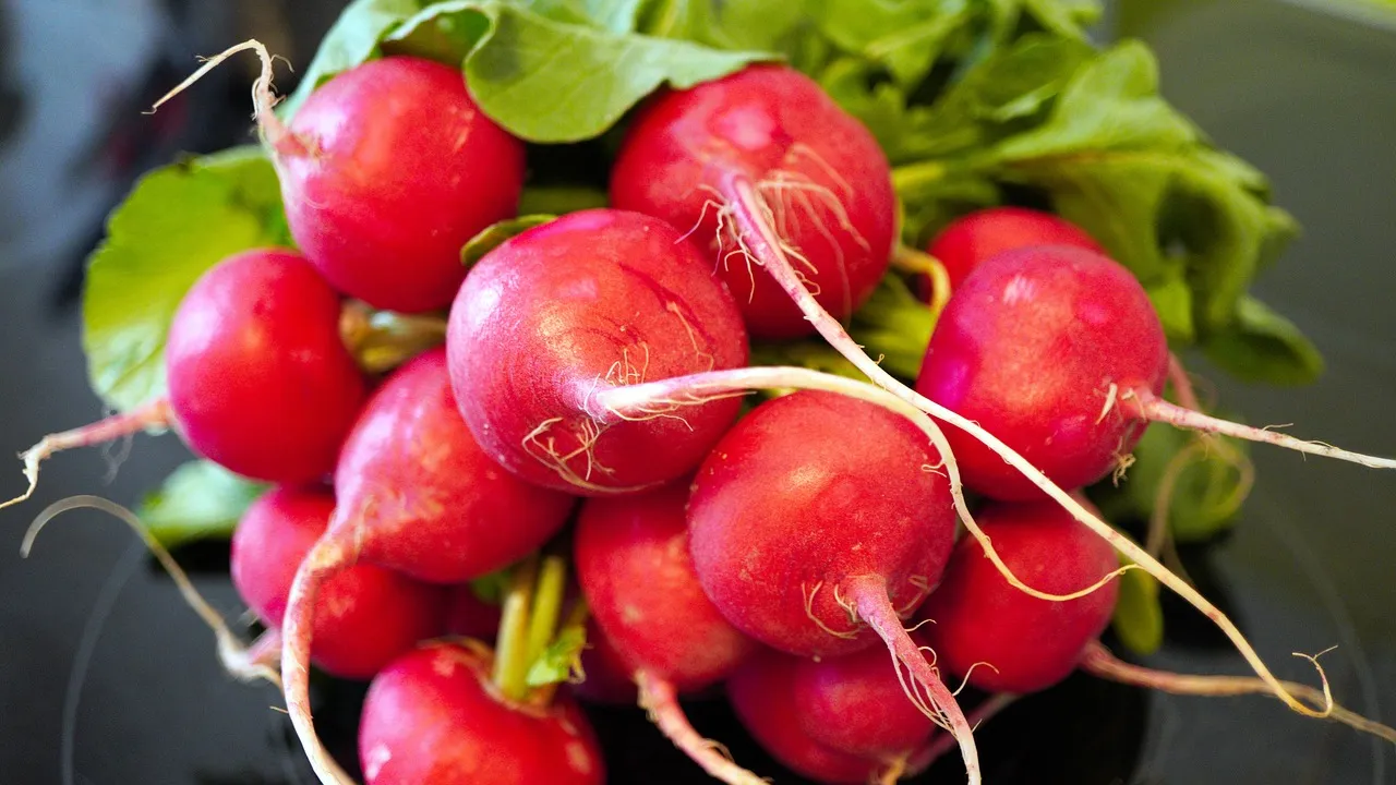 radishes 6166443 1280