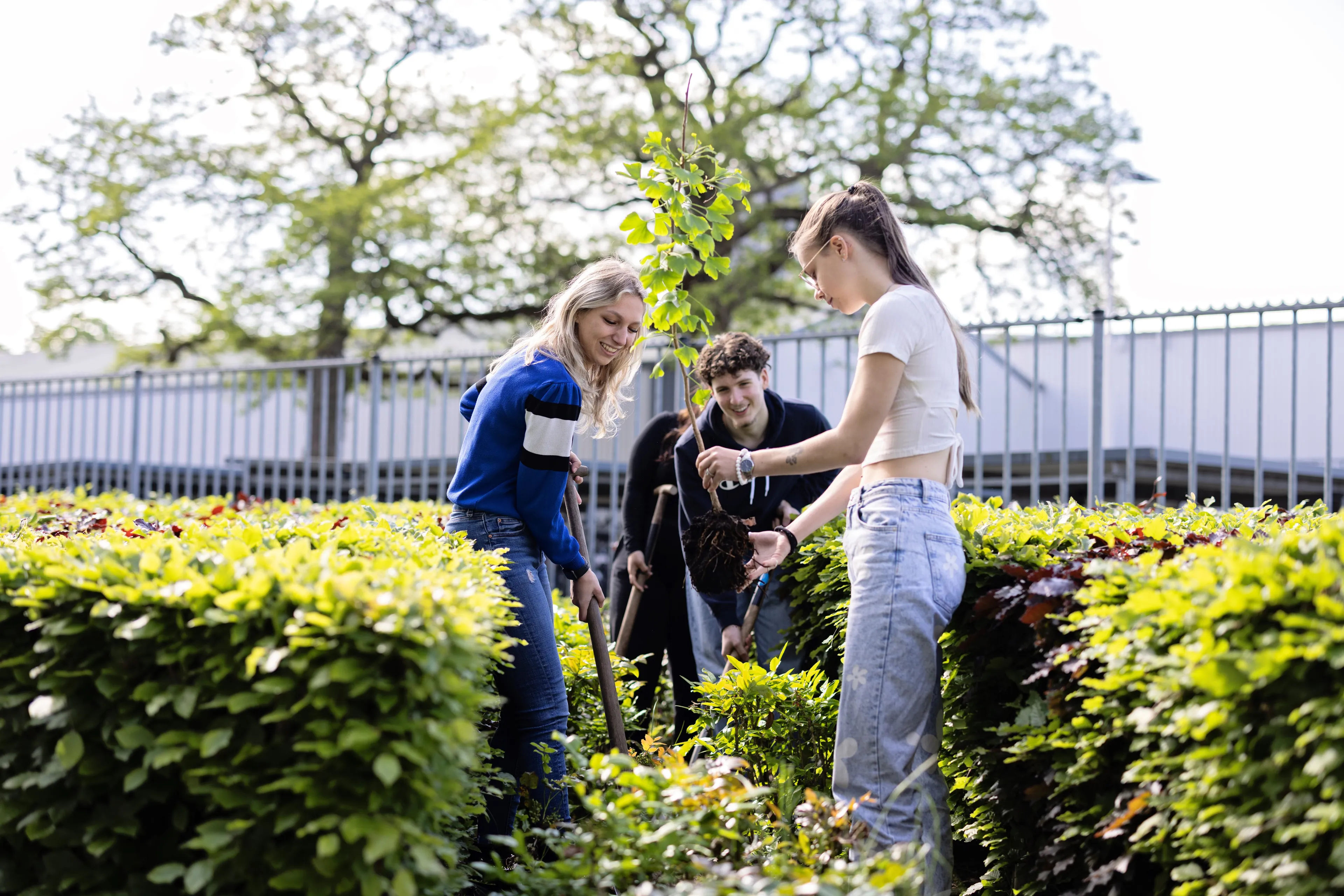 studenten planten bomen