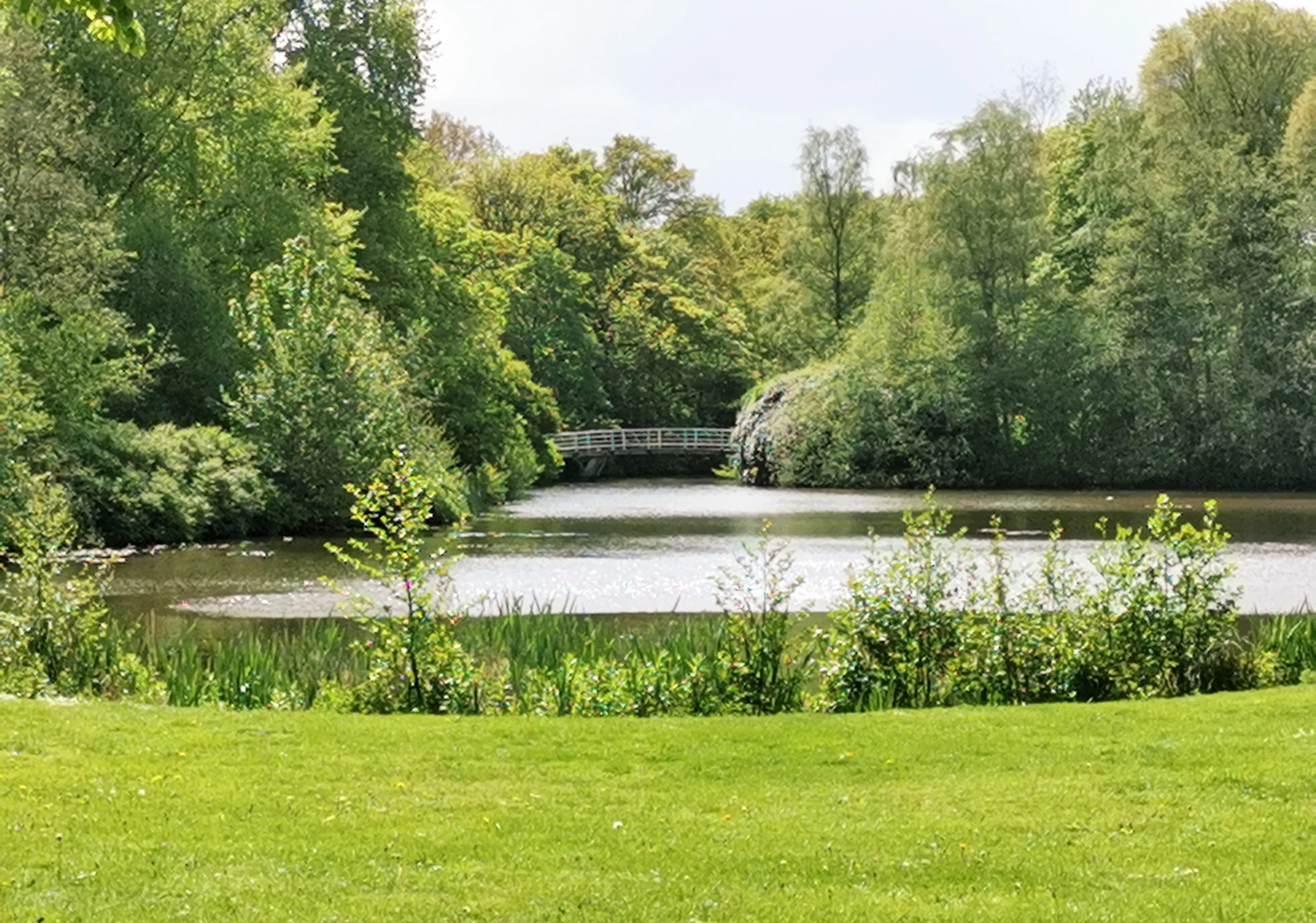 vijver stadspark weer zon