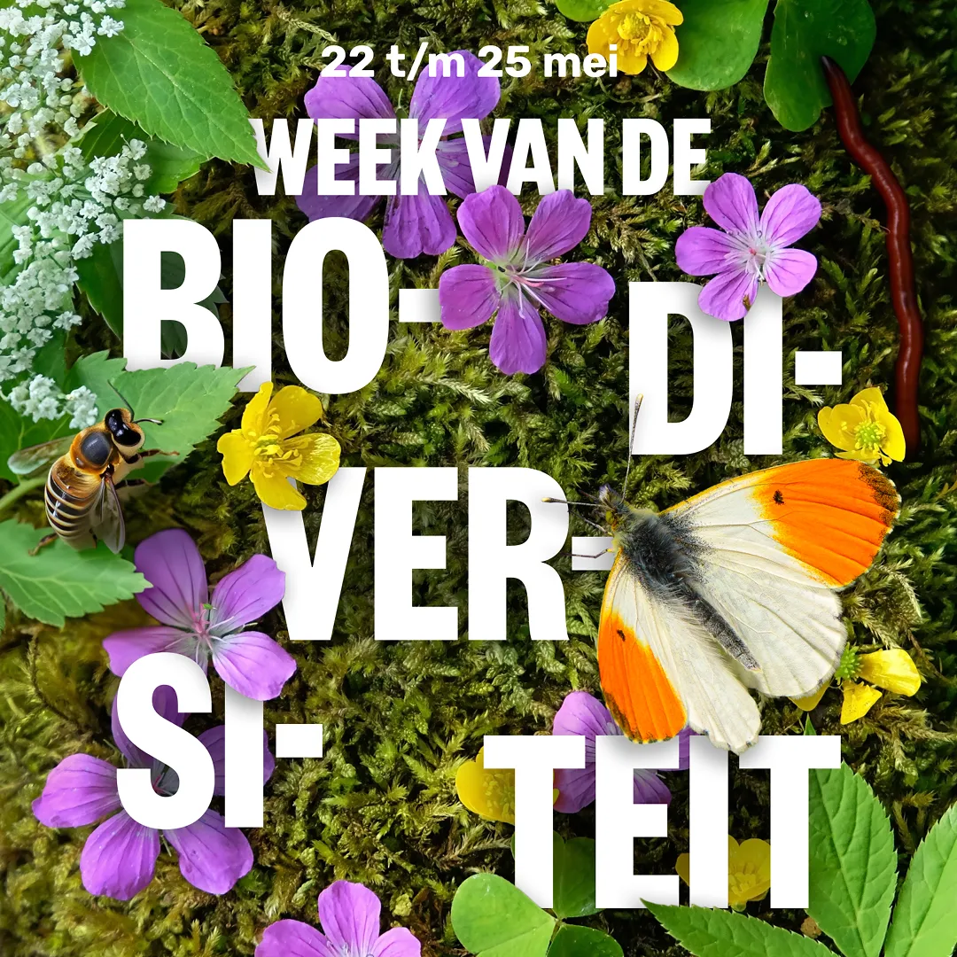 weekvdbiodiversiteit 1080x1080 media