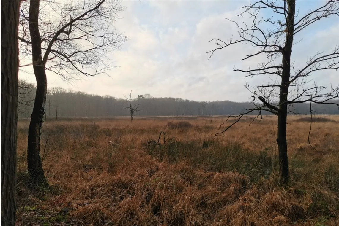 zacht herfst appelbergen glimmen bos