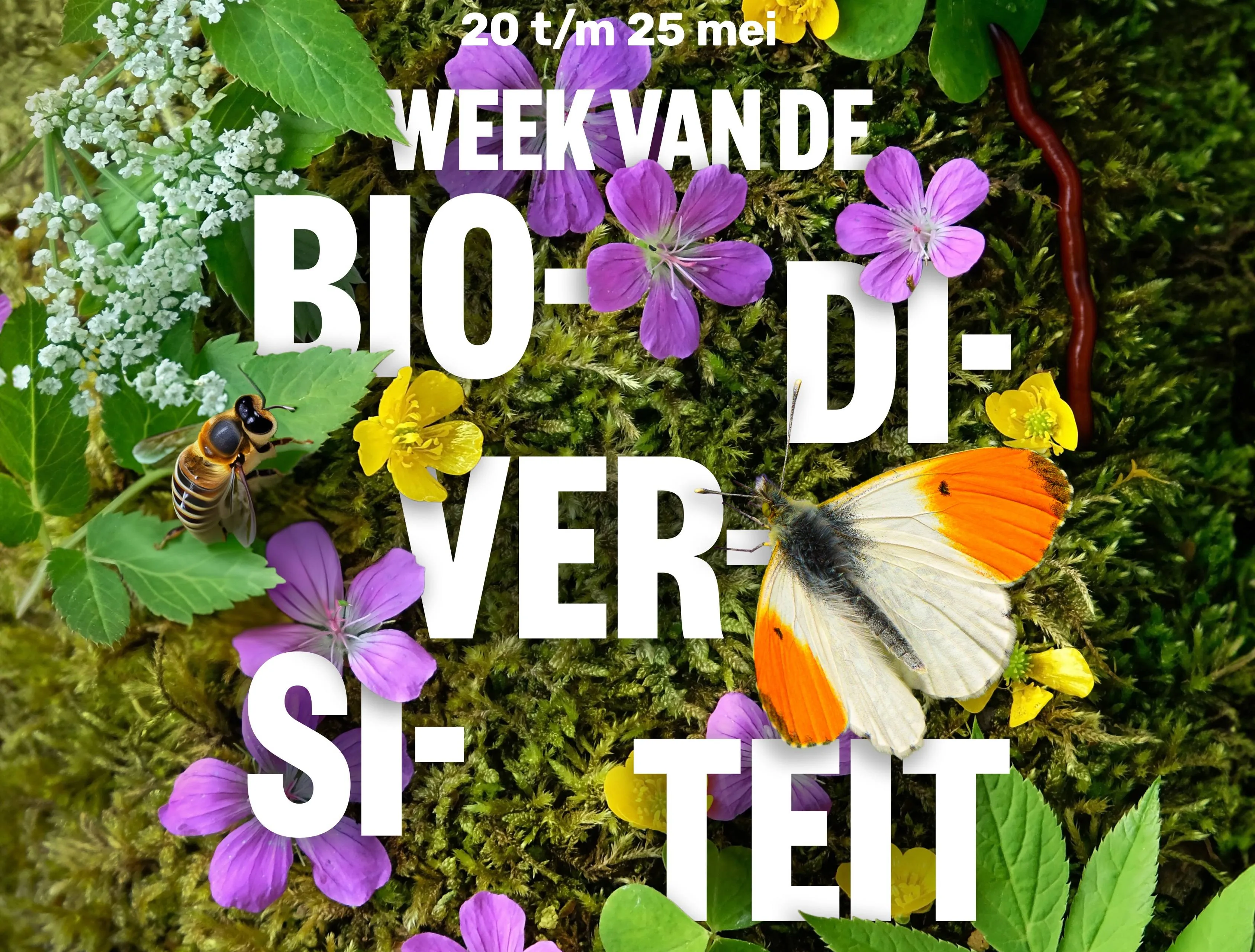 25 05 08 weekbiodiversiteit2025 websiteheader