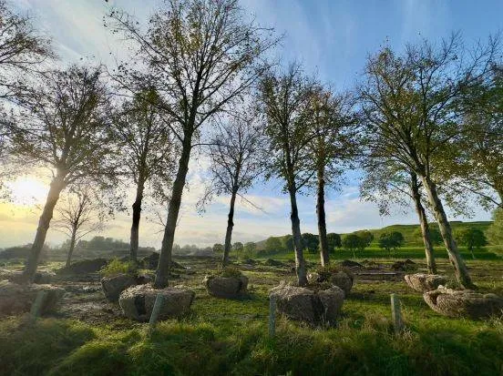 unnamed - 2025-11-03T150746.539