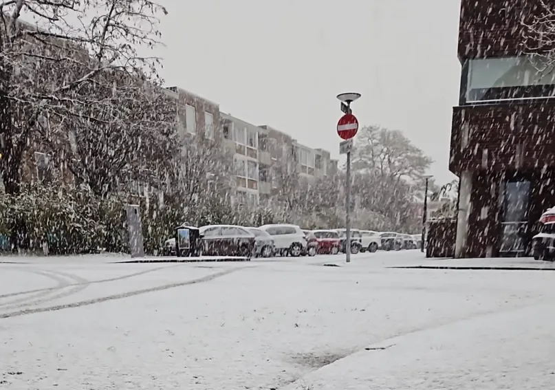 Schermafbeelding 2026-02-02 135732