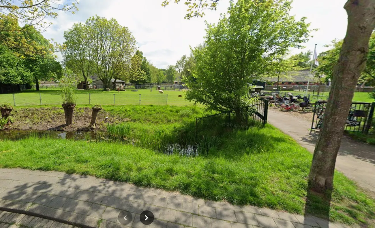 Schermafbeelding 2026-03-13 141455