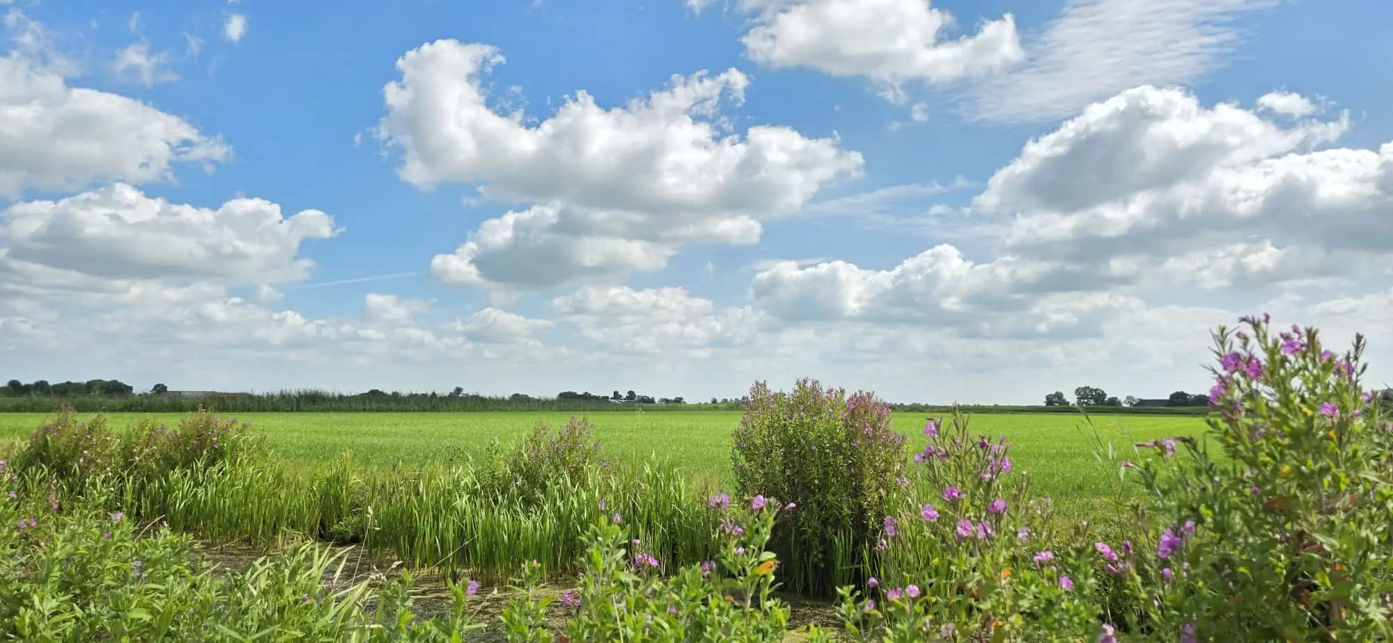 Waterbeeld 6 augustus