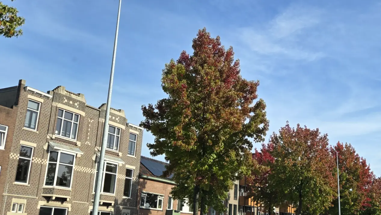 herfst groningen