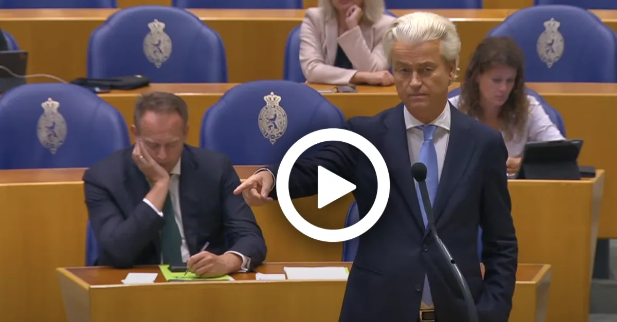 wilders 2