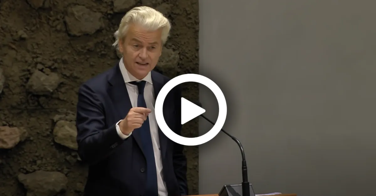 wilders 3