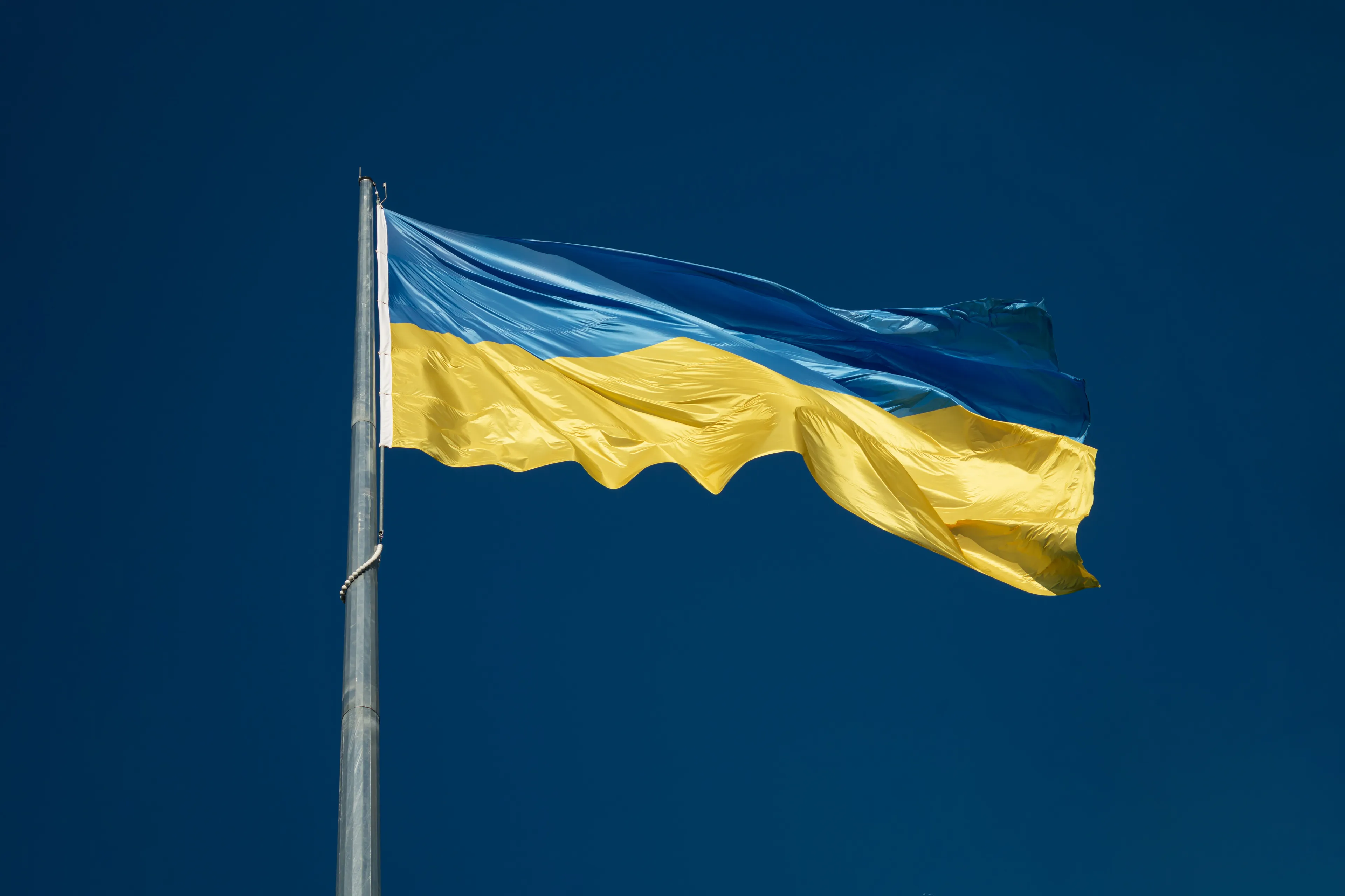 yehor milohrodskyi syuhhpwu hk unsplash