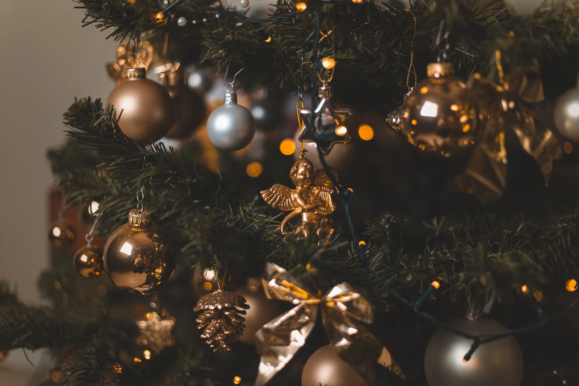 Vrouw vindt onverwachte gast in haar kerstboom: "Ik was in shock"