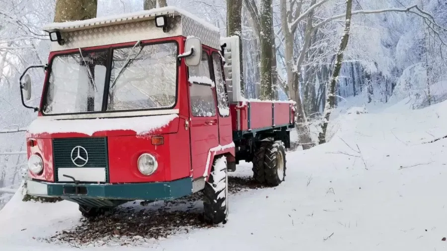 Kun jij de verborgen sneeuwvos binnen 10 seconden vinden?