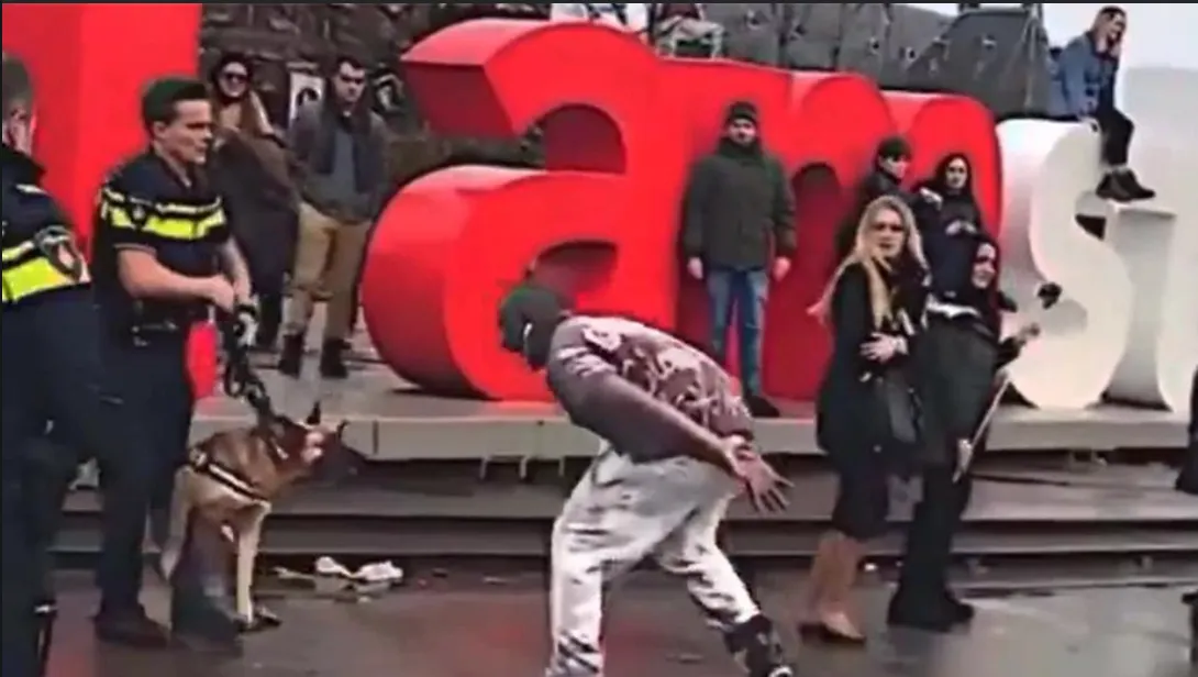 Man besluit politiehond uit te dagen en komt er dan achter dat dit een heel slecht idee was