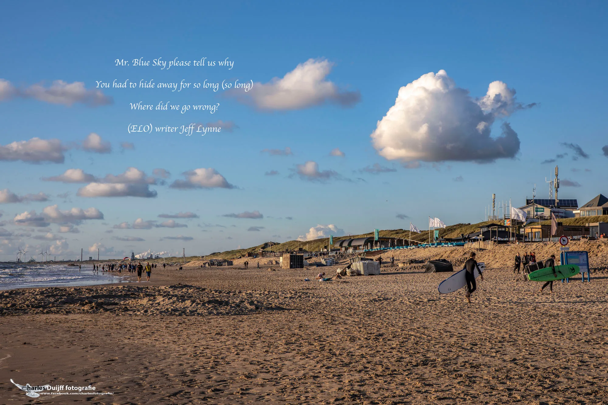 mr blue shy tekst