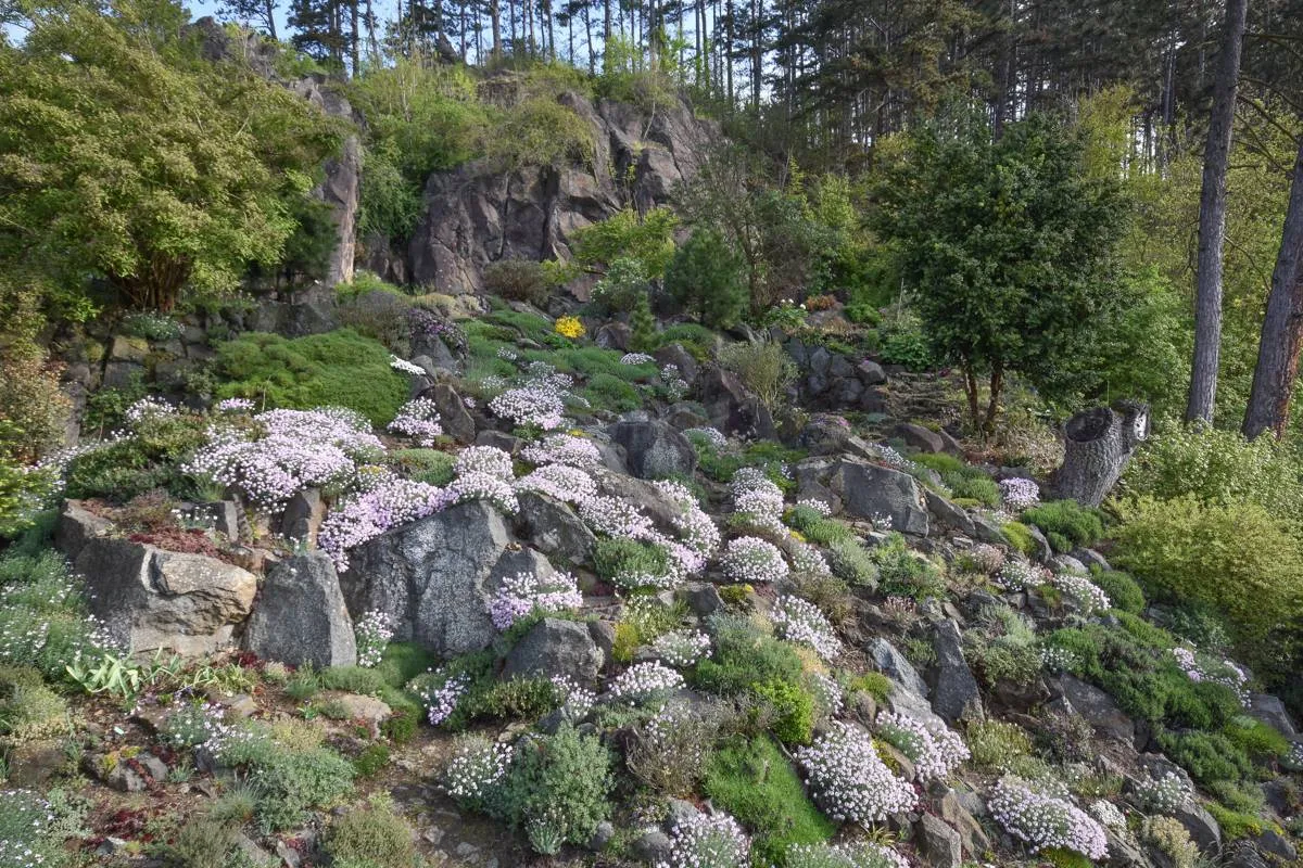 Harry Jans 'Rotstuinen in Tsjechië' DSC_4769