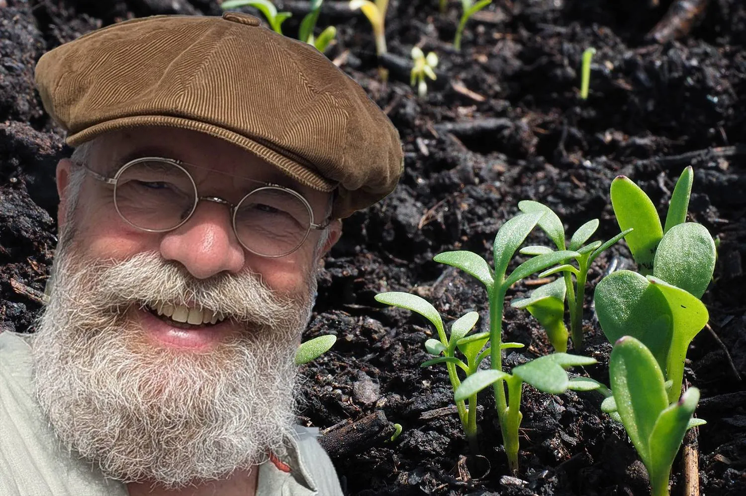 flower-1174127_1920 kopie PIXABAY  Groei EN Bloei