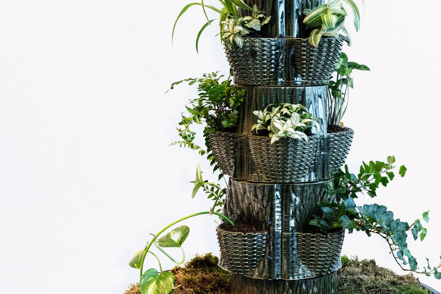 CristinaNan_HaarlemNL