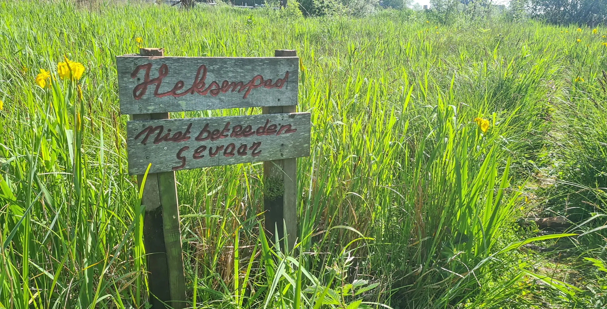 heemstede natuur 24 mei heksenpad