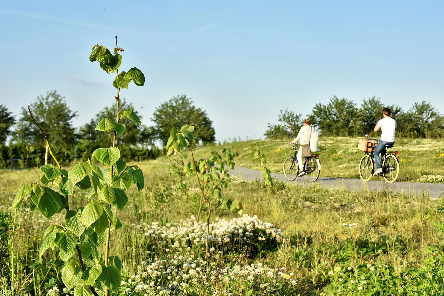 ansichtkaart 1 fietsers park21