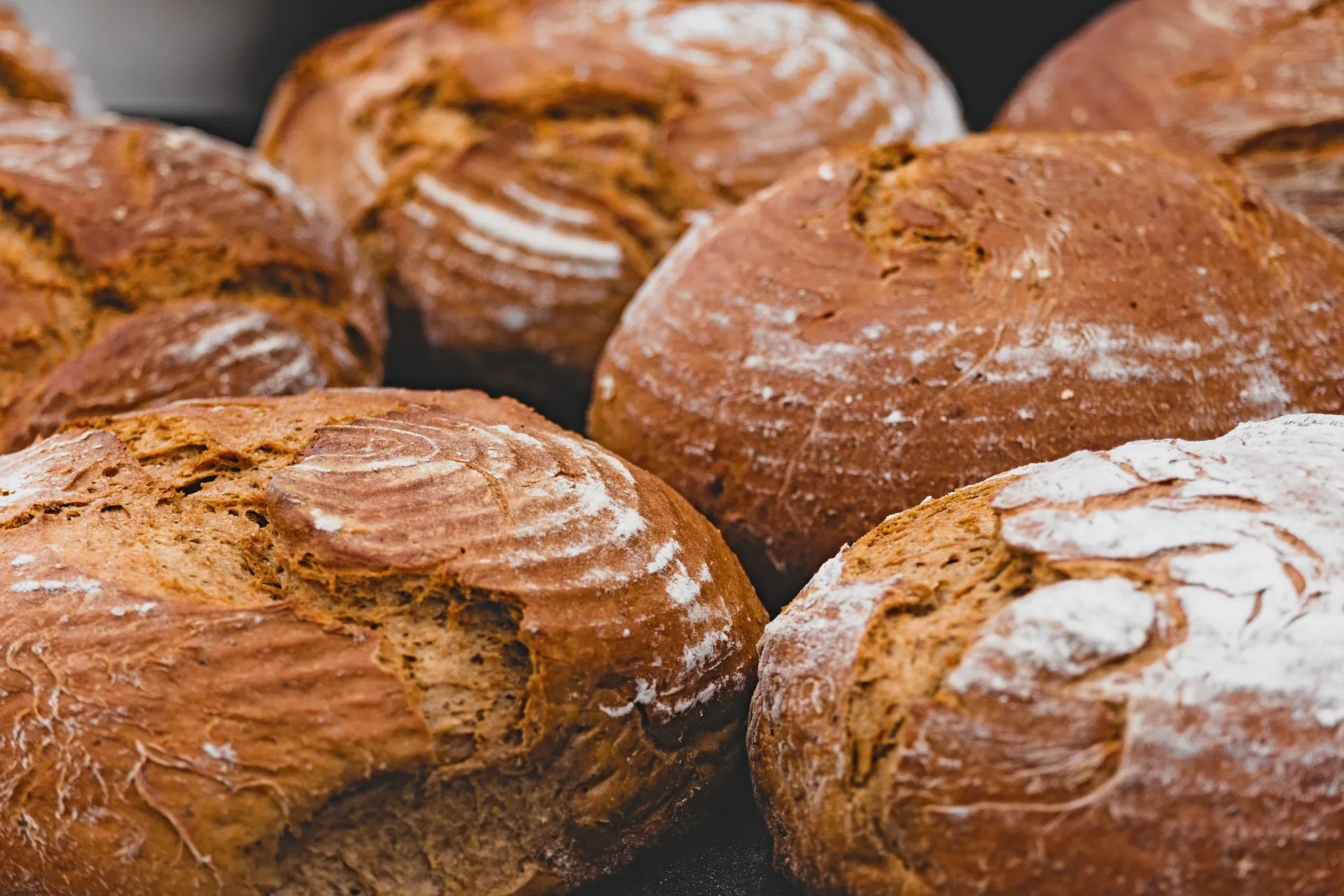 brood nicky pe pixabay
