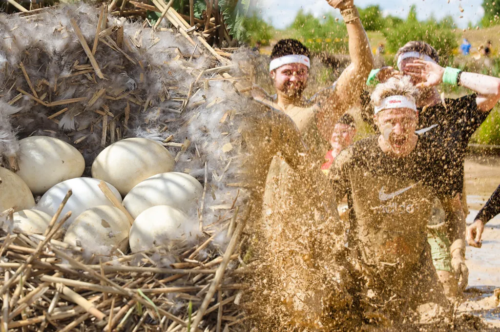 mud masters 001 1024x680 eggs wm