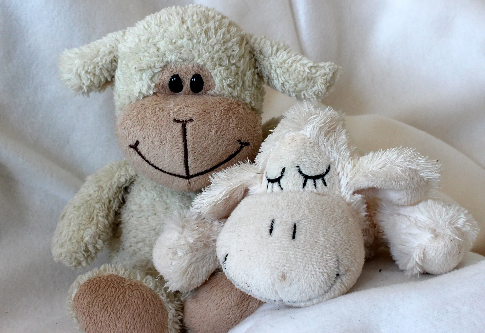 teddyberen myriam zilles pixabay