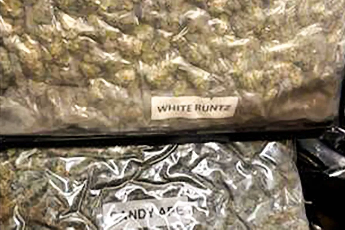 cannabis 3 kopieren