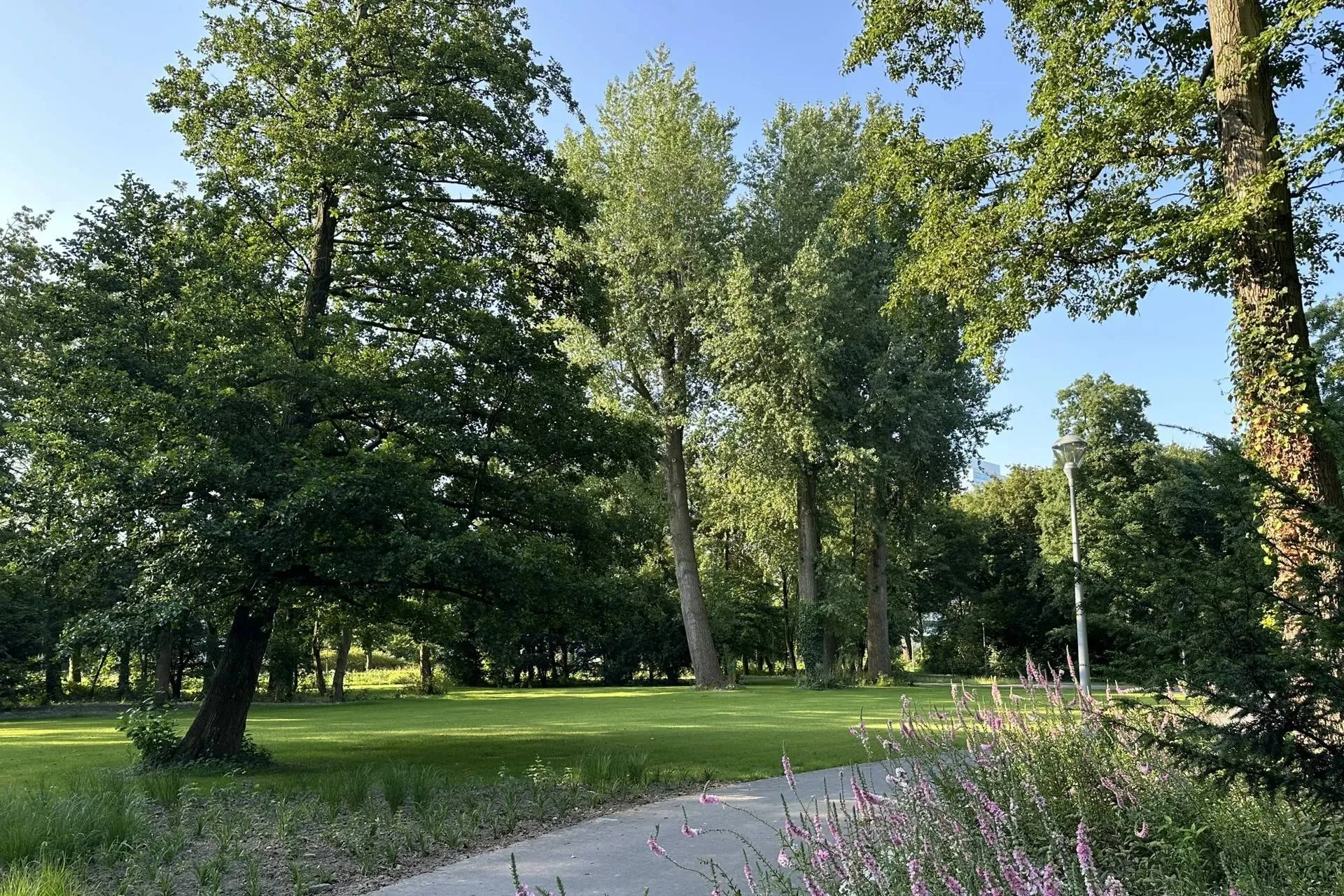 hoofddorp